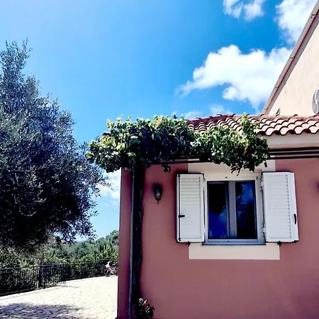 Daire Olivo - *