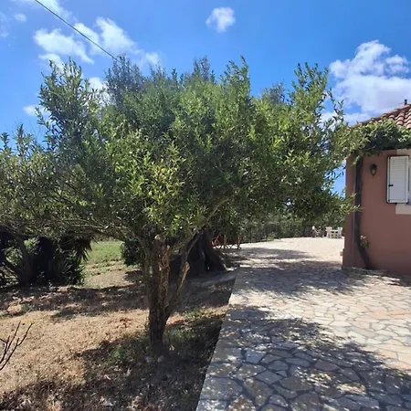 Olivo - Daire