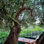 Appartement Olivo - *