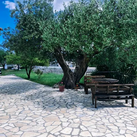 Olivo - Appartement *